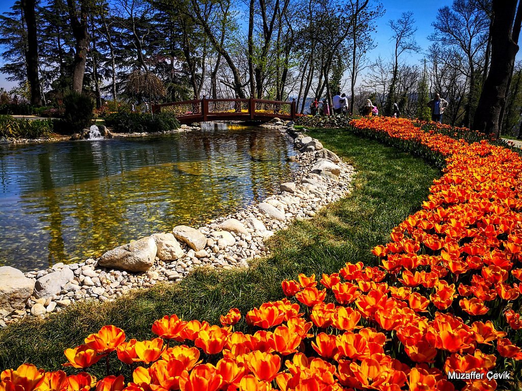 Emirgan Korusu