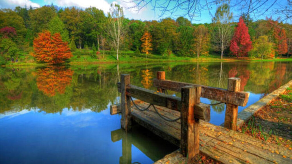 Ataturk Arboretumu
